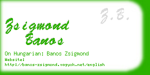 zsigmond banos business card